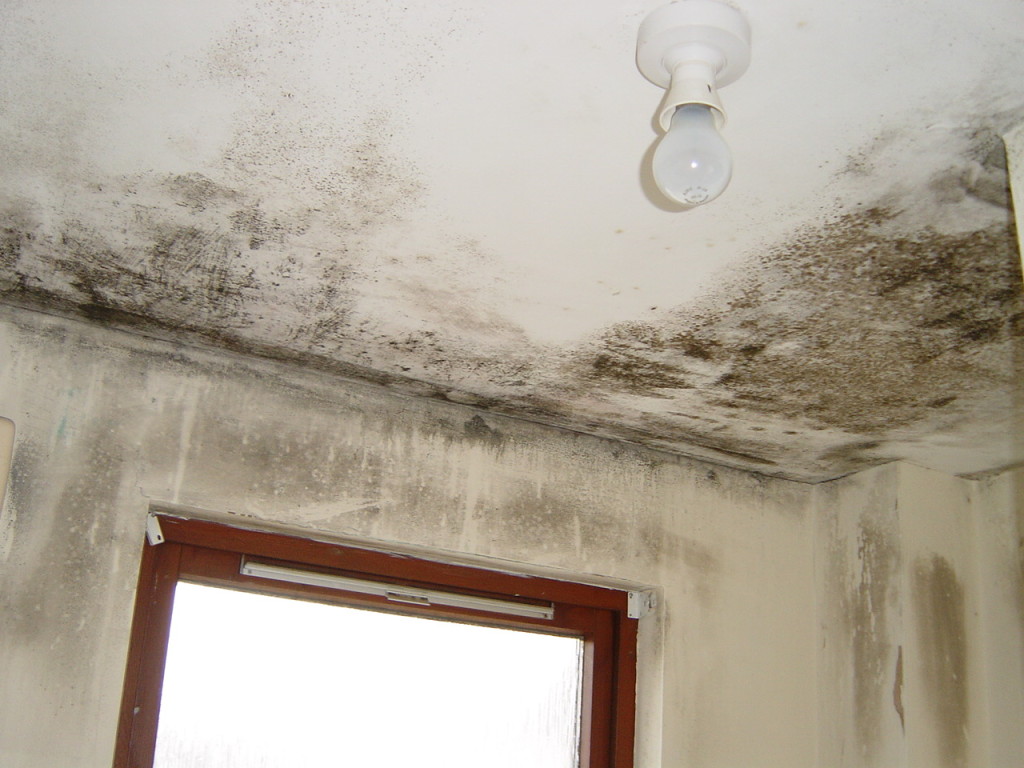 Identifying damp in my home TheGreenAge Identifying damp in my home TheGreenAge