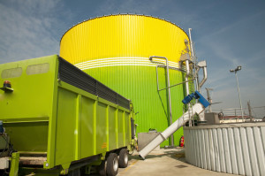 Biomass Plant