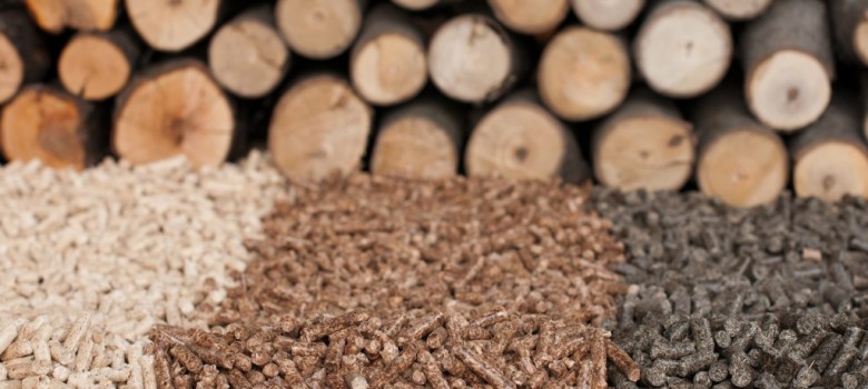 Are biomass boilers worth it?