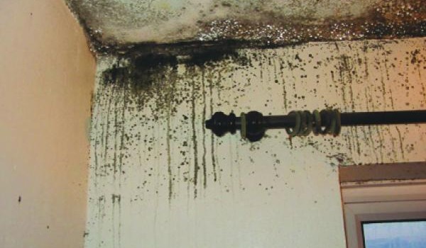 The Green Deal and tackling fuel poverty