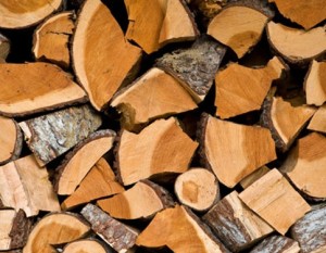 Wood logs - biomass fuel