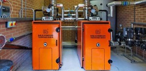 biomass boiler for business