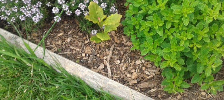 Water retention in the garden