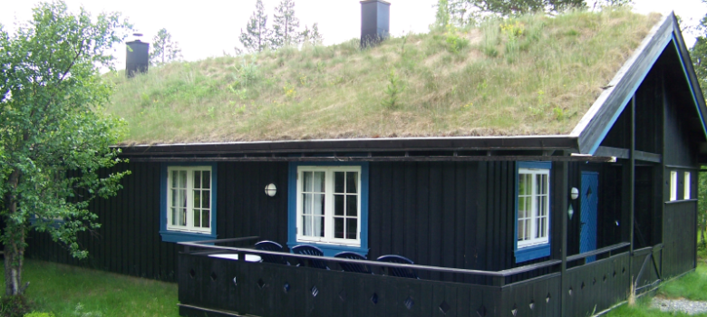 What is a Green Roof?