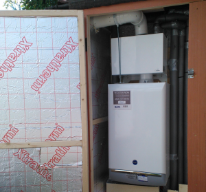 boiler and flue gas heat recovery system