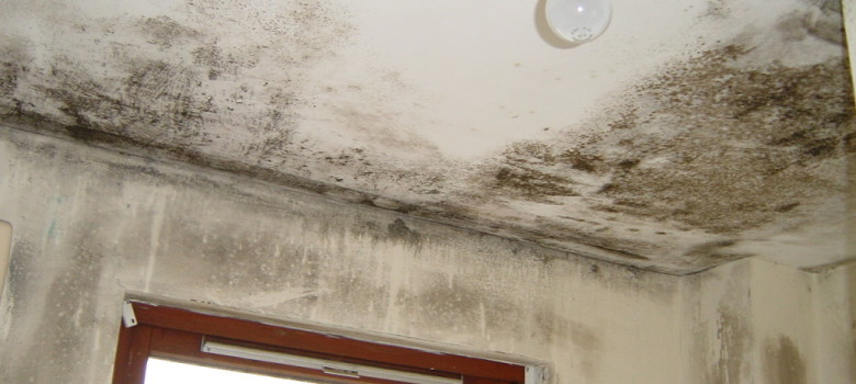 10 ways to stop condensation occurring in your home