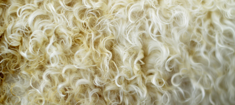 What’s So Good About Sheep Wool Insulation?