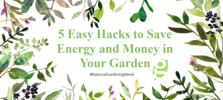 5 Easy Hacks to Save Money and Energy in Your Garden