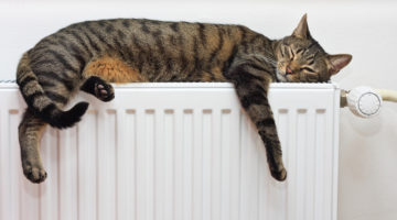 The Most Efficient Way to Use Central Heating