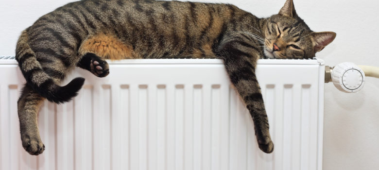 The Most Efficient Way to Use Central Heating