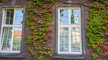 How to Save Energy On Sash Windows