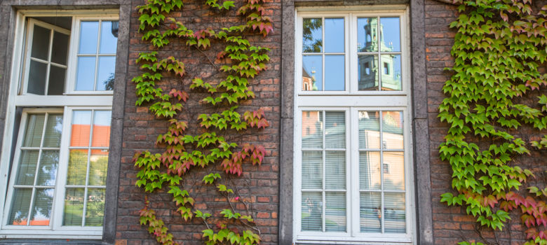How to Save Energy On Sash Windows
