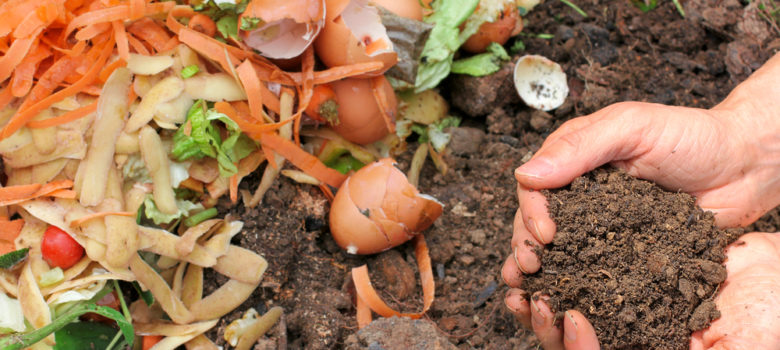 5 Best Composters For Summer 2019