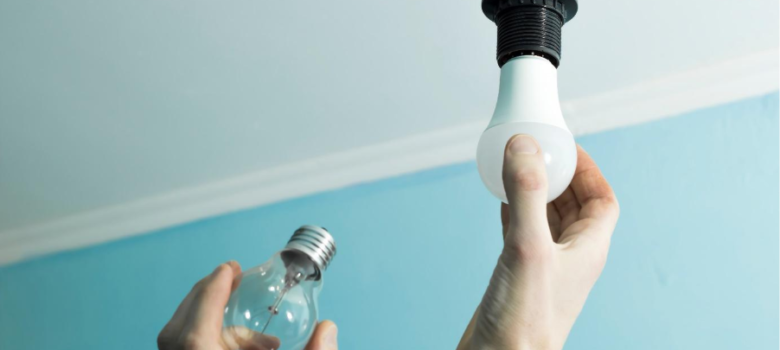 Lighting Choices: How to Choose the Best Eco-Friendly Light Bulbs
