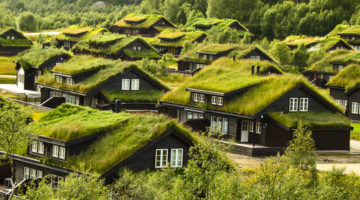 Eco-Homes: What Are They and How Do They Work?