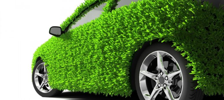 Can a fleet company go green?