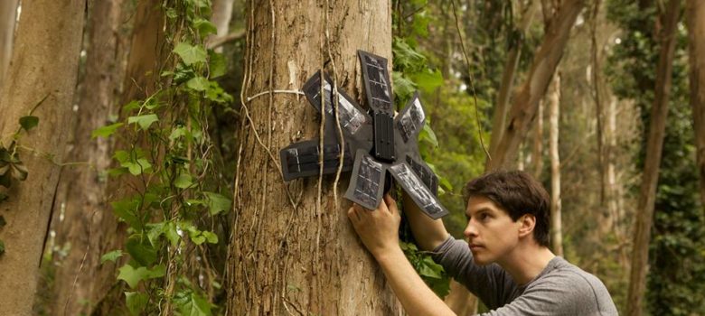 How Your Old Phone Can Save The Rainforest